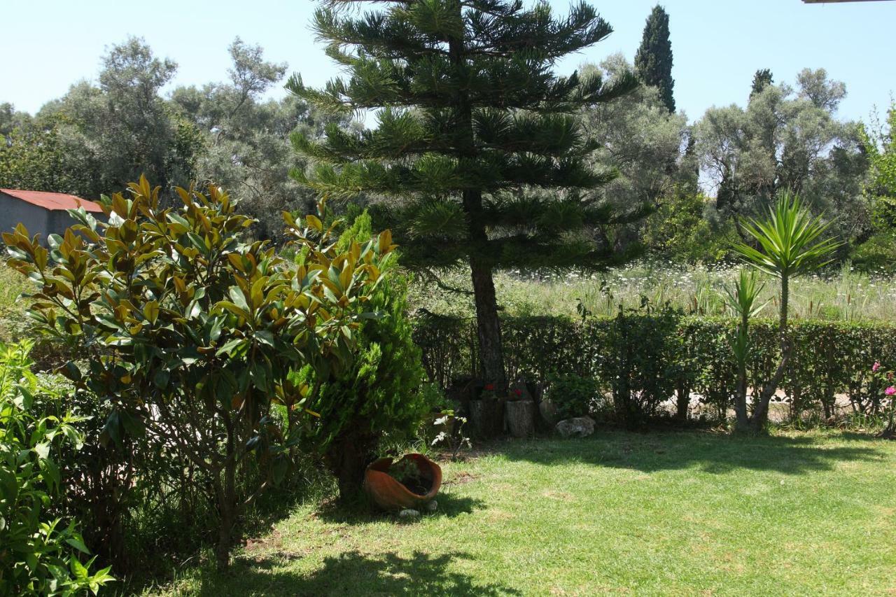Arokaria Apartment Lefkada City Exterior photo